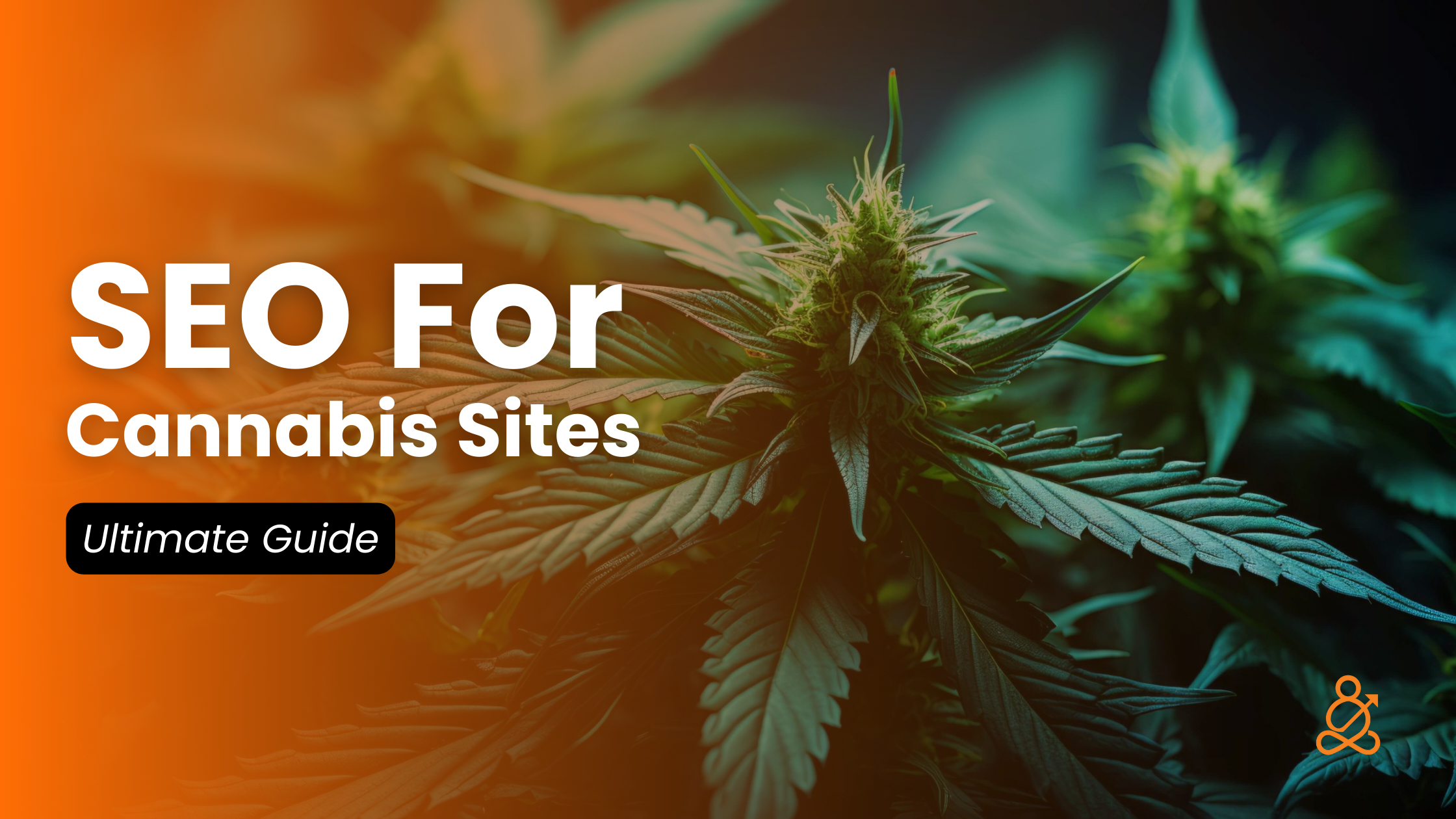 SEO for Cannabis Sites: Keys to Organic Growth